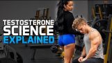 Cómo aumentar la testosterona natural
